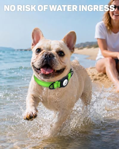 Padded Dog Collar with Waterproof Holder Compatible with Airtag