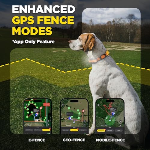 Dogtra PATHFINDER2 MINI Compass Live GPS Dog Tracking & Training System - 4-Mile Range E-Collar Handheld with No Subscription, Offline Maps, GPS Fence, Expandable up to 21 Dogs, for Dogs 15+ lbs