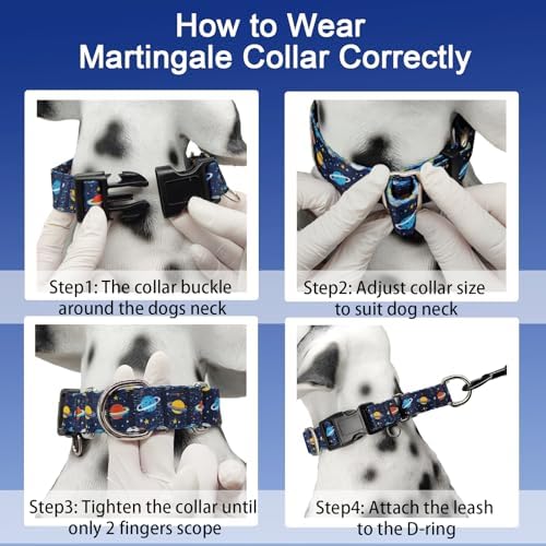 Martingale Dog Collars with Buckle No Slip Training Boy Dog Collar for Large Dogs (Blue Space, Large)