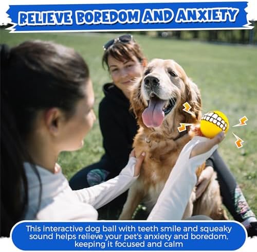 Foilswirl 24 Pcs Dog Squeaky Tennis Balls Bulk 2.95 Inch Interactive Pet Toy Ball Dog Chewing Toy for Large Medium Small Puppy Training and Practice Pet