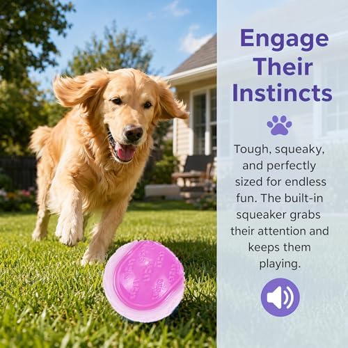 6Pcs Rubber Dog Balls, 2.5 Inch for All Breeds Dogs
