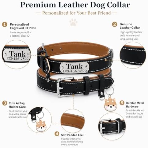 Personalized Genuine Leather Dog Collar with Name Phone Number-Black-XL