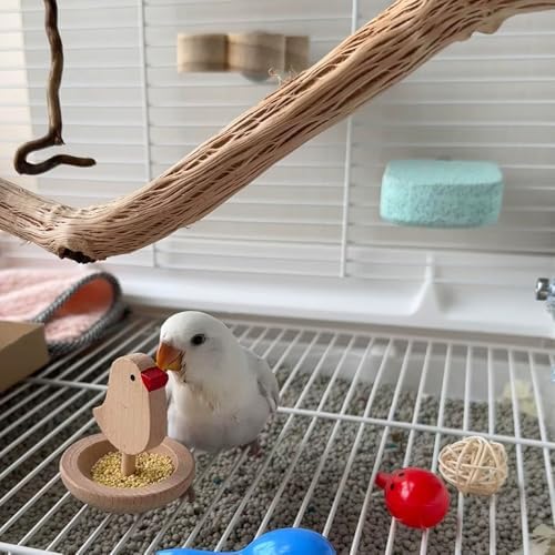 Wobble-Action Wooden Bird Toy - Interactive Foraging Puzzle for Mental Stimulation - Natural Beech Wood Slow Feeder for Parakeet, Cockatiel, Lovebird - Small Bird Cage Enrichment (2.4")