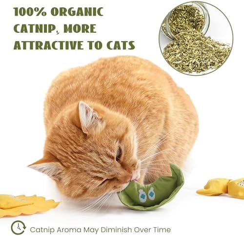 Pawsible 3 Pack Ravioli Catnip Toys for Indoor Cats, Interactive Cat Toys Filled with 100% Organic Catnip, Plush Chew Toys for Kittens, Teething Soft Catnip Toys for Cats
