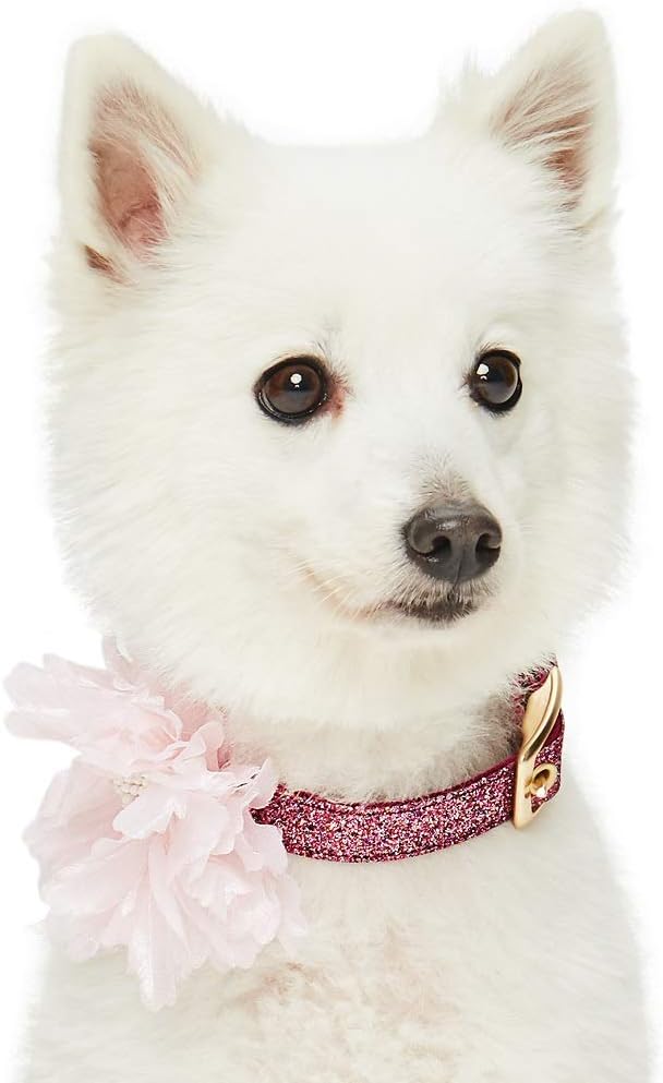 Blueberry Pet The Most Coveted Holo Glitter Dog Collar with Flower