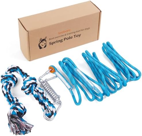 LOOBANI Spring Pole Toy for Pitbull: Bungee Tug War Toys，Blue