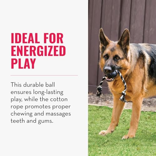 KONG Extreme Ball with Rope, Rubber Fetch Toy, Black, for Large Dogs