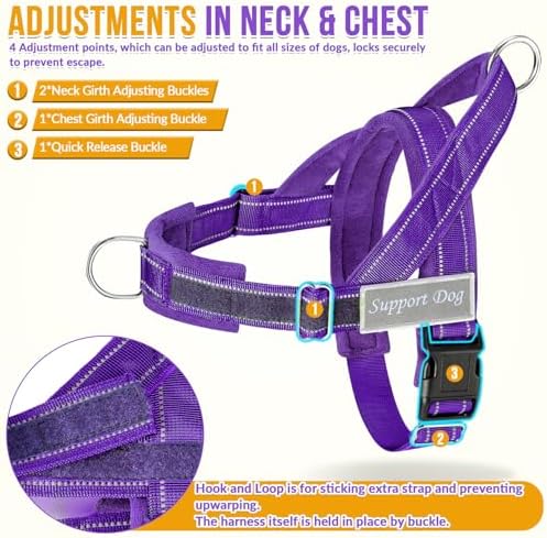 Lukovee No Pull Dog Harness and Leash Set, Soft Padded for Large Medium Dog
