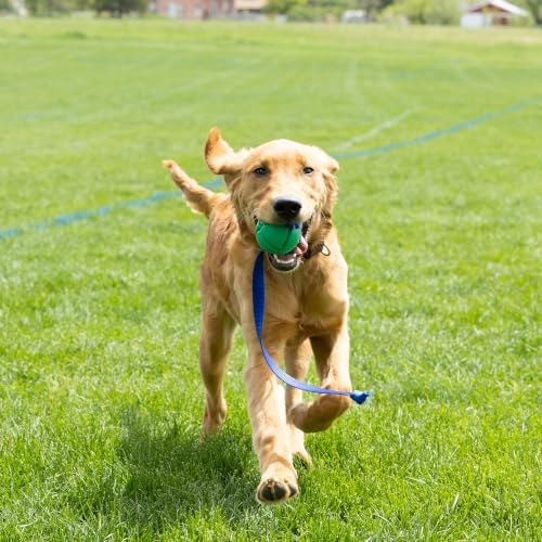 PetKORE: FloTex Tug - Medium - 2.5" Green, Rubber Dog Toy, Removable Strap Tail, Patented Airflow Grooves, Bounce-Fetch-Chew, Pet Indoor-Outdoor Play