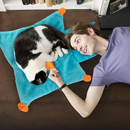 Catnip Toys for Indoor Cats