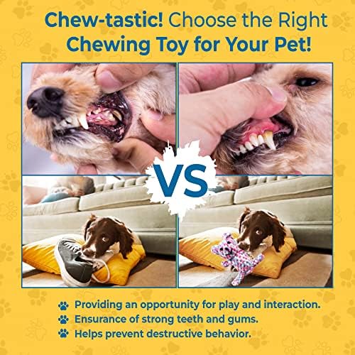 SunGrow Teddy Bear Puppy Teething Toy, Durable Tug and Chew Play for Small & Medium Dogs, Knotted Rope Cotton Design for Teething Comfort, Interactive Training, Active Pet, & Oral Cleaning