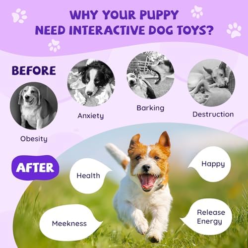 Moving Dog Ball, Jumping Squeaky Interactive Dog Toys, Plush Chew Toys for Medium/Large Dogs, USB Rechargeable (Purple)