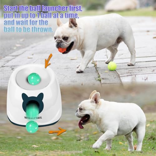 Automatic Dog Ball Launche with 9 Balls (2 inches)