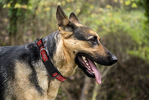 Pets First NHL Collar for Dogs & Cats. Adjustable, Cute, & Stylish! The Ultimate Hockey Fan Collar!