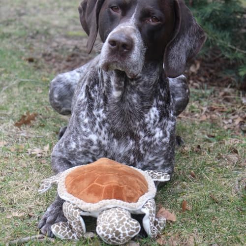 Tall Tails Plush Animated Moving Toy for Dogs, Sea Turtle