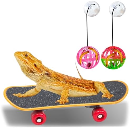 7 pcs Breaded Dragon Toys Set, Lizard Feed Balls Enrichment Toy Skateboard