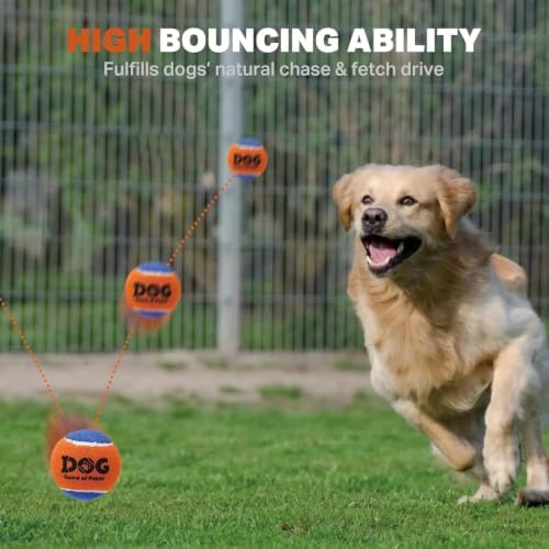 AMA SPORT Squeaky Tennis Balls for Dogs 2.5" Dog Tennis Balls for Throwing and Fetching Dog Toys for Training, Exercise, High Bouncing 16 Pack