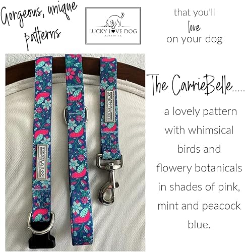 Lucky Love Dog Martingale Collar & Leash Set No Slip – Carriebelle, Small