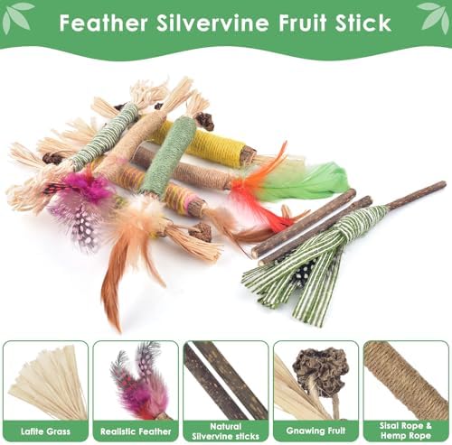Bissap 16PCS Silvervine Chew Sticks, Catnip Chewing Toy for Cat Kitten