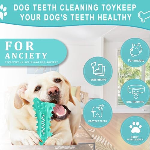 Dog Teeth Cleaning Toy for Training, Playing, Chewing - Squeaky Toys for Aggressive Chewers - Toothbrush Stick Bone for Medium Large Dogs (Blue) (Pack of 2)