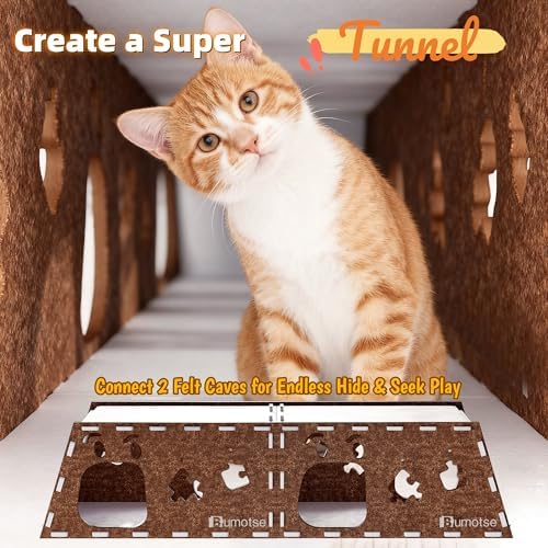 Cat Tunnel House for Indoor Cats, 3-in-1 Felt Cave and Scratcher