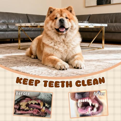 No Stuffing Dog Toy Set Squeaky Plush Toys for Large Dogs, Indoor putdoor Interactive Puppy Teething Toys,Rope Crocodile and Honey Badger Shape for Small Medium Dog Not for Aggressive Chewers