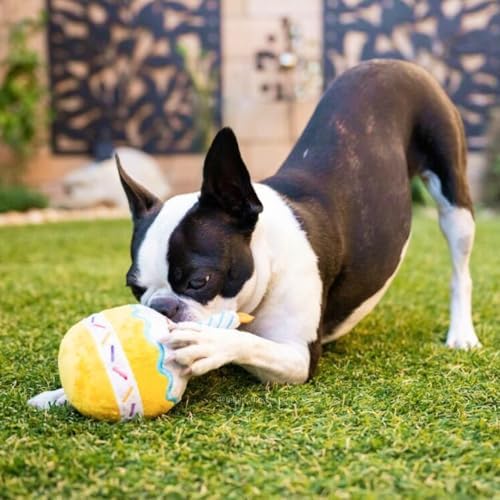 PAWTY Birthday Cupcake Dog Toy – 3-in-1 Plush Squeaky Toy with Hidden Rubber Ball – Interactive Layered Puzzle Toy for Small & Medium Dogs & Puppies – Cute Dog Birthday Gift & Party Photo Prop