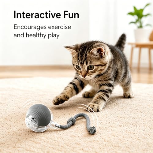 Cat Ball Toy,New Interactive Rolling Cats Dog Toy Balls 360° Smart Automatic Rolling Pet Ball, Fast Moving Toy for Dog,Interactive Toys for Cats (Grey)