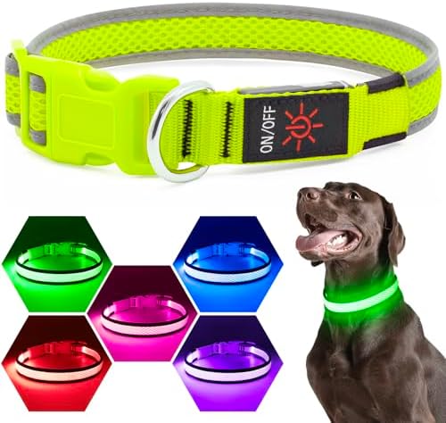 Flashseen LED Dog Collar, Light Up Dog Collar USB Rechargeable, Green, L