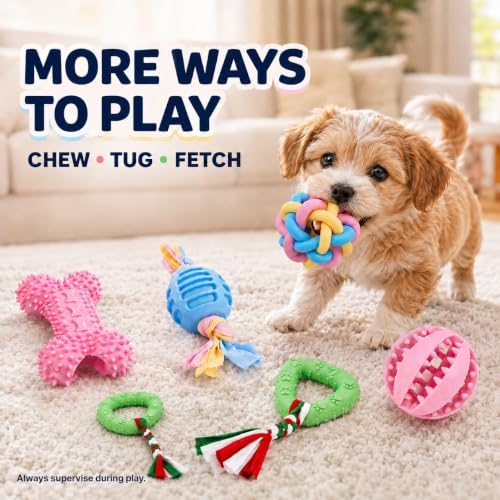 Puppy Chew Toys, 6 Pack Puppy Teething Toys for Small Breed, Soft Rubber Cute Multi Dog Toys, Eco-Friendly, Teeth Cleaning Interactive for Small Dogs (Basket not Included)