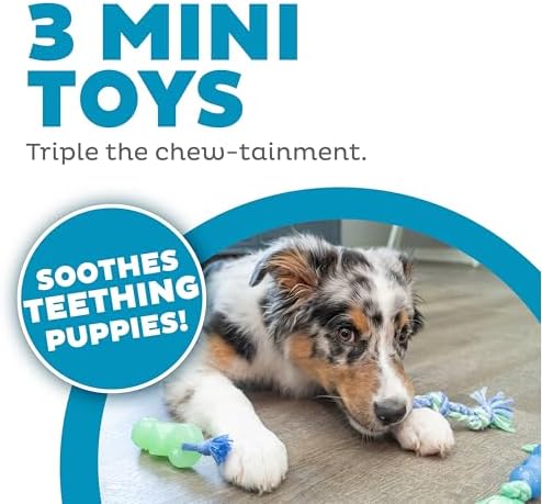 Mini Dentachew Dental Dog Chew Toys, 5-8", 3-Pack