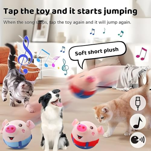 2Pack Interactive Dog Toys, Dog Toys to Keep Them Busy, Dog Birthday Gift