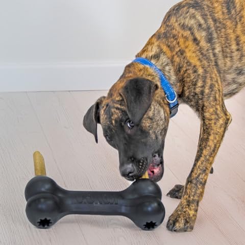 KONG Extreme Goodie Bone, Natural Rubber, Black, for Extra Large Dogs