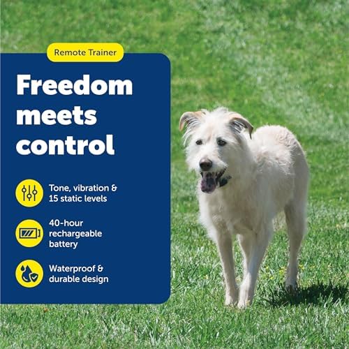 PetSafe 600 Yard Lite Remote Training Collar Smaller Version for Small or Medium Dogs Choose from Tone, Vibration, or 15 Levels of Static Stimulation Medium Range for Training Off Leash Dogs
