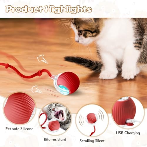 Interactive Cat Ball Toys for Indoor Cats, Upgraded Automatic Cat Toys