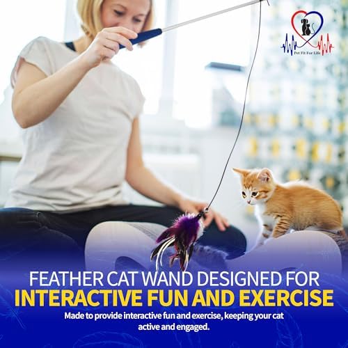 Pet Fit For Life Cat Feather Interactive Wand Toy Set, Red & Purple - 2pack