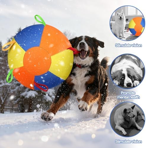 AIERSA 21" Herding Ball for Dogs, Large Dog Ball with Handles