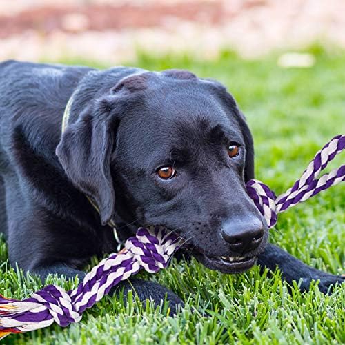 SHARLOVY Large Tough Chew Toys for Aggressive Chewers, 9 Pack Dog Rope Toys