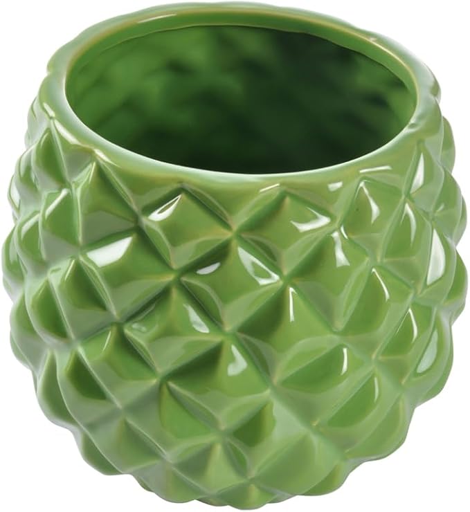HOMEA 5CAP657VC Ceramic Container, Green, Medium
