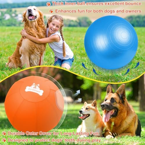 18'' Herding Ball for Dogs, Heavy Duty for Small & Medium Breeds