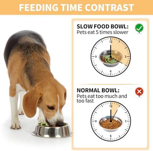 Slow Feeder Dog Bowls Insert, Bestalk Soft Silicone Slow Eating Feeder Insert with Suction Cups for Small, Medium and Large Dogs, Fit into Basic and Elevated Dog Bowls, Green