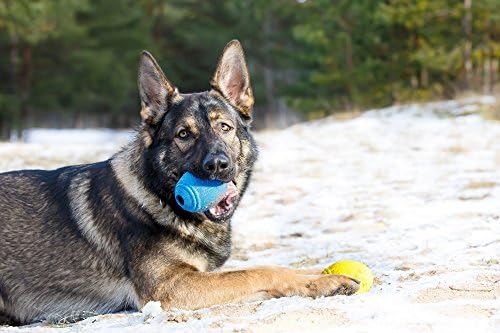 Tricky Treat Rugby Ball: Dog Treat Dispenser - Awesome Anxiety Reliever and Boredom Breaker, Fun Fetch and Basic Puppy Training Toy (Large, Blue)