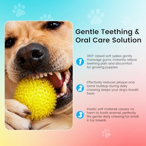 Squeaky Dog Toys Balls, 6 Pack 2.5" Spiky Dog Balls, Durable Puppy Chew Toys for Teething, Interactive Fetch Dog Toy Balls for Small Dogs
