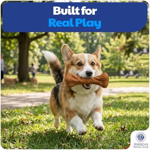 American Kennel Club Training Dog Chew Toy, Large PP Bone Dog Toy, Durable Dog Toy for Moderate Chewers, Beef Scented for Long-Lasting Engagement, Supports Dental Health, Natural