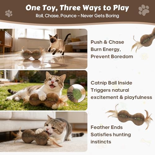 Catnip Ball Toys for Indoor Cats Dumbbell-Shaped Cardboard Toy with 2 Catnip Balls & Feather Ends for Interactive and Independent Play, Exercise & Stress Relief Cat Toys for Kitten All Breeds and Ages