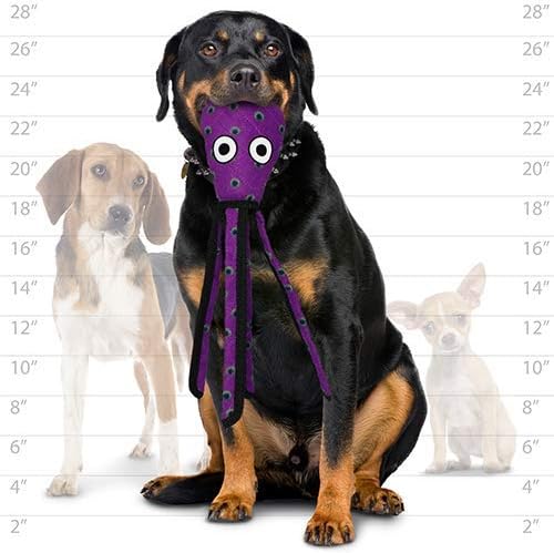 TUFFY® - 2 Pack Original : Squid Dog Toy : : Ultra Durable Plush Toy with Multiple Layers & Reinforced Seams, Washable and Floats, Original Construction