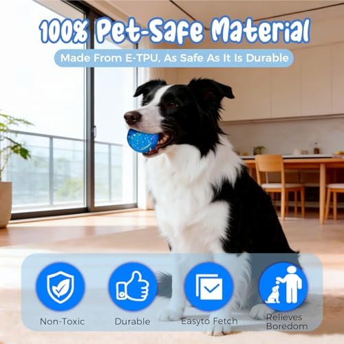 Interactive Dog Ball Automatic Motion Activated 3 Modes