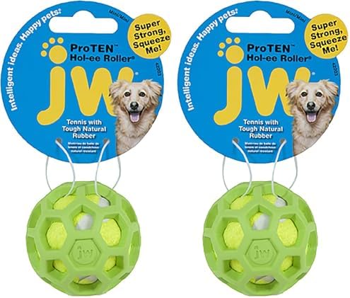 JW Pet Proten HOL-ee Roller Dog Chew Puzzle, Small, Lime Green Tennis Ball with Assorted Colors (Green, Red, Blue), 42204 (Pack of 2)