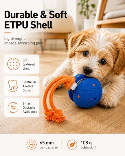 Xeuch Interactive Rolling Dog Balls, Irregular Moving Toys for Puppies