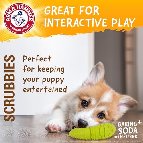 Arm & Hammer Scrubbies Boomerang Dental Chew Toy, Puppy, Large, 7 in